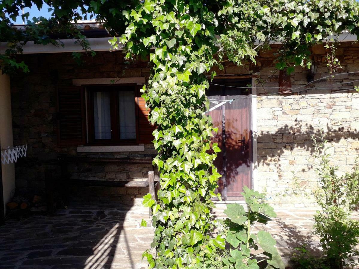 Вилла Quinta Da Moagem Маседу-ди-Кавалейруш Номер фото