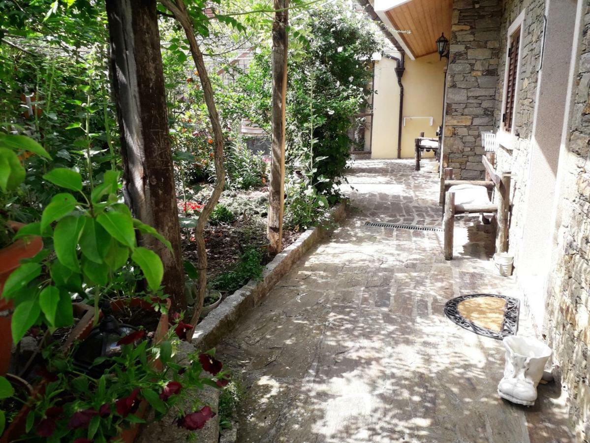 Вилла Quinta Da Moagem Маседу-ди-Кавалейруш Экстерьер фото